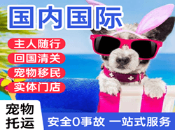 屯溪机场托运国际宠物托运 【国